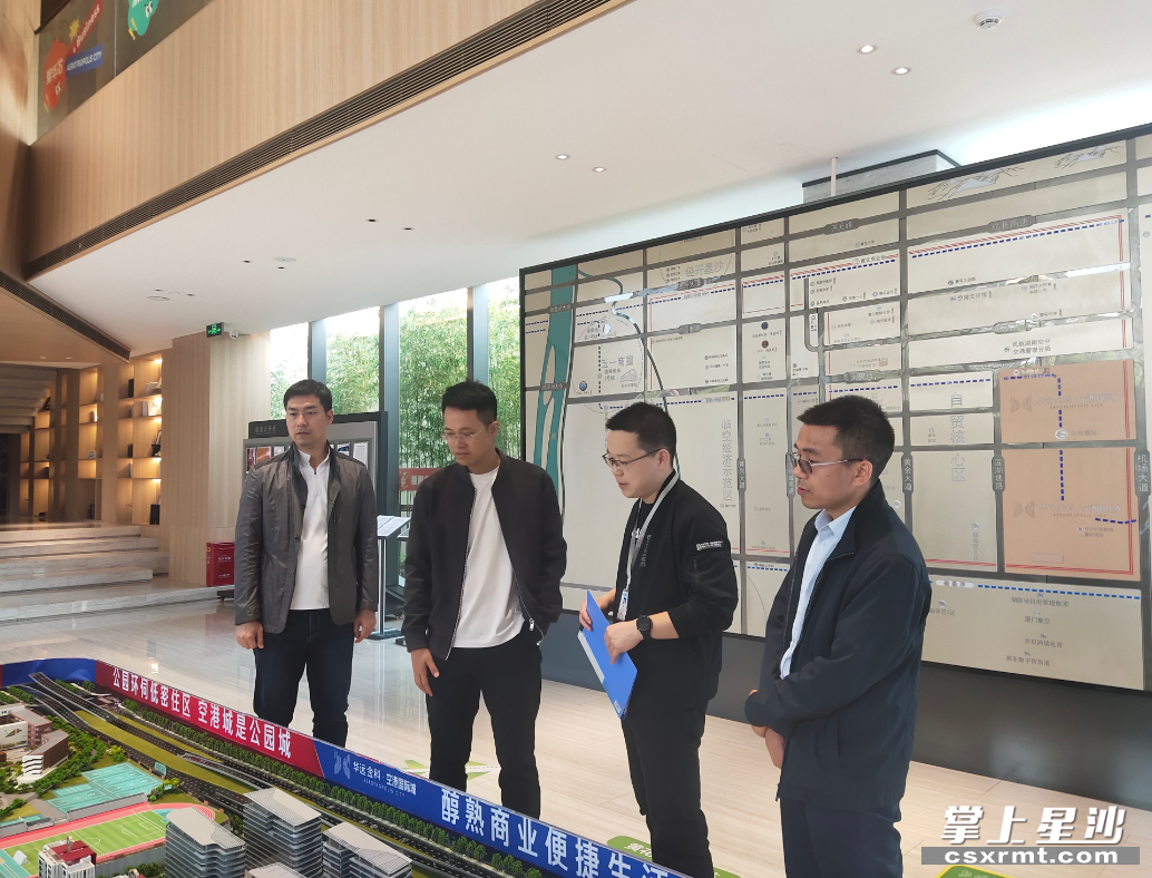 检查现场。自贸临空区供图