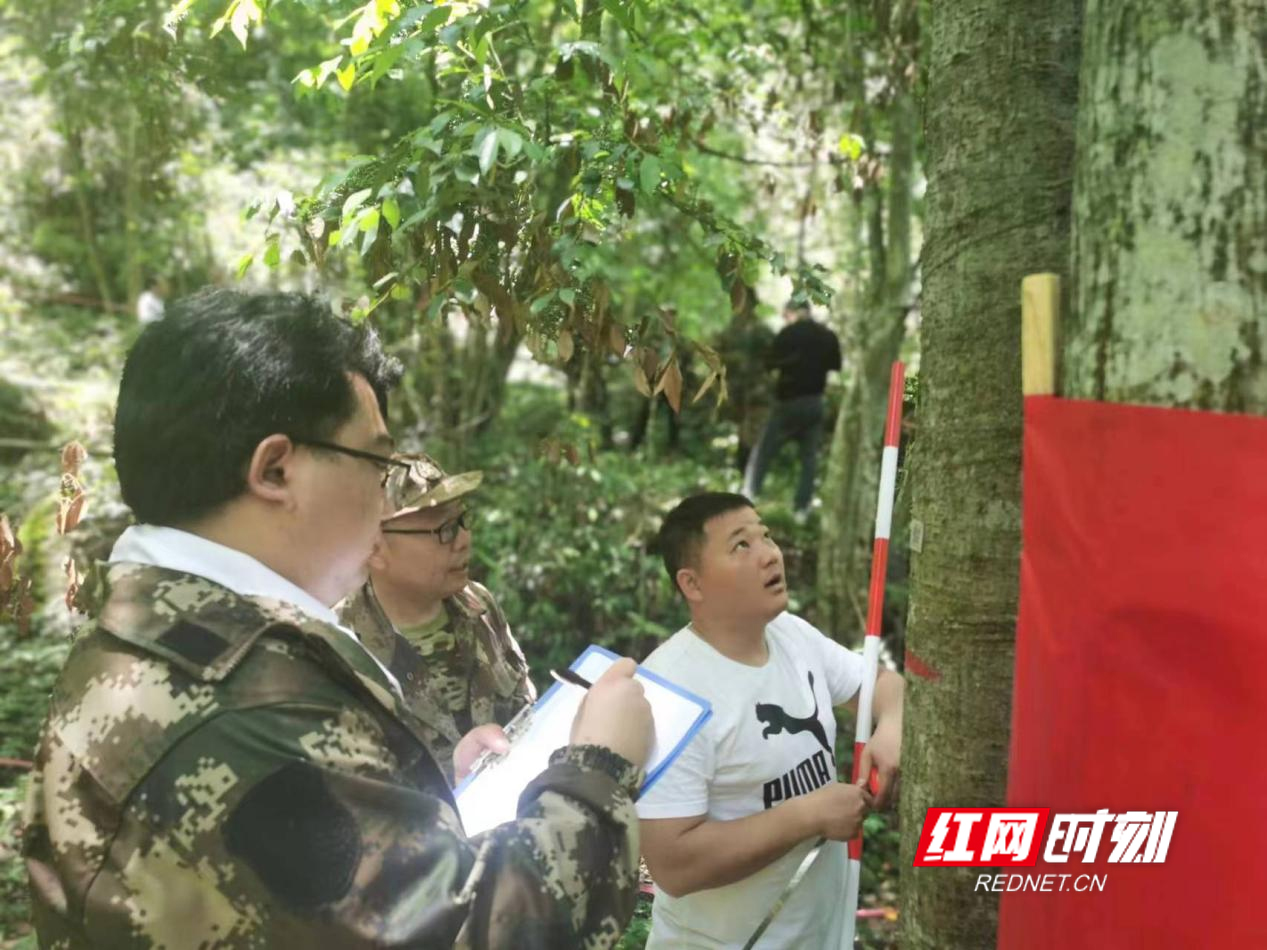 图片2.jpg