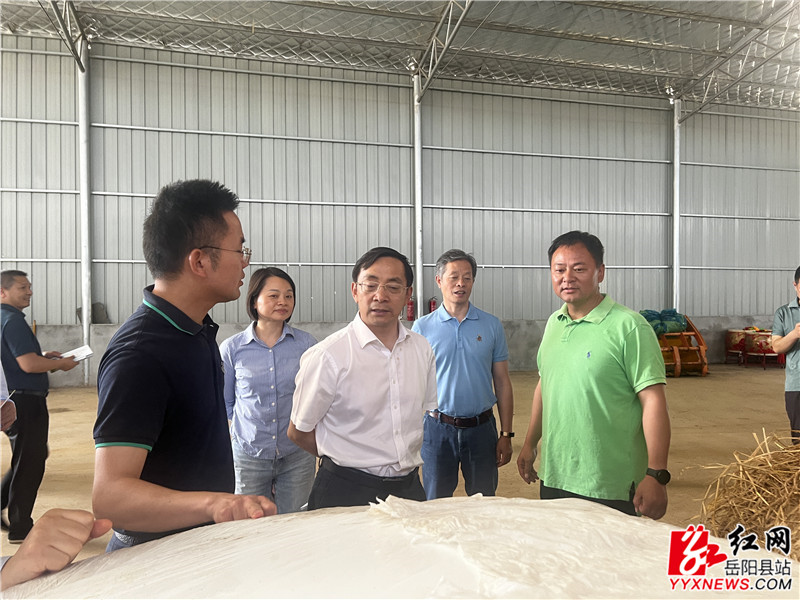 农业农村部生态总站站长严东权到我县调研秸秆综合利用与禁烧工作情况 (1)_副本.jpg