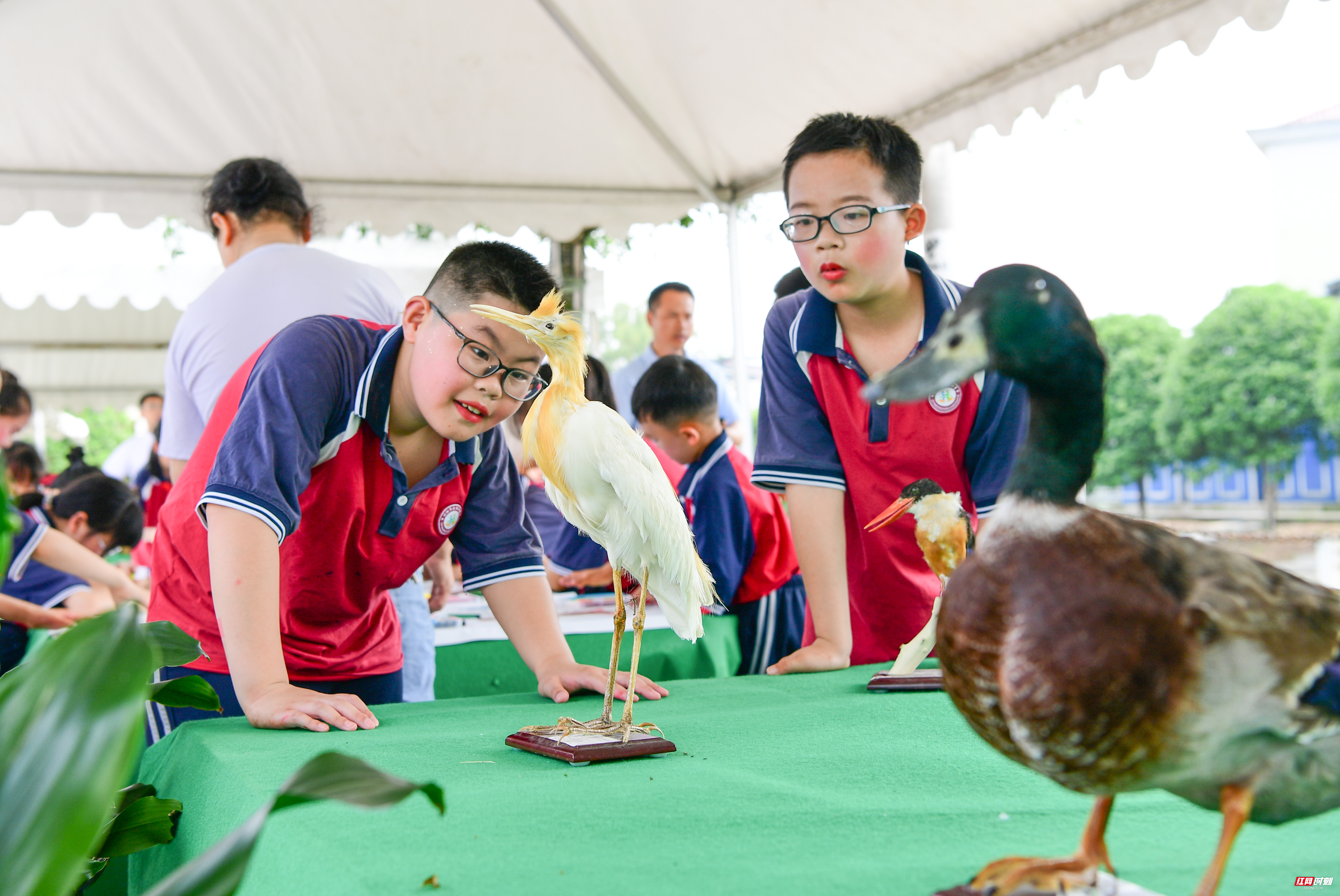 微信图片_20230519192335.jpg 微信图片_20230519192335.jpg