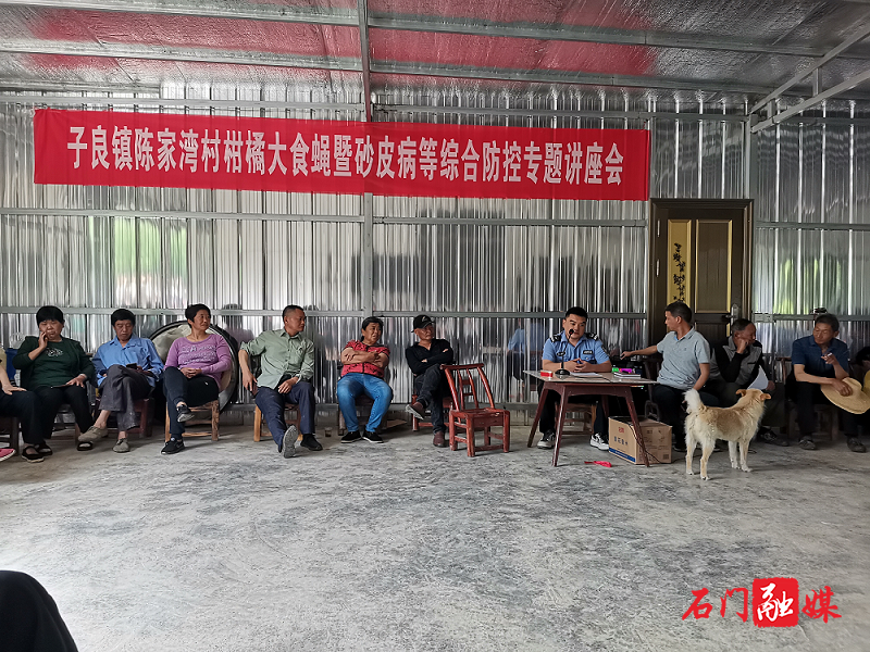 子良.png 子良.png