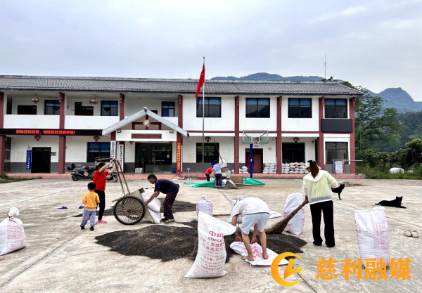 图片1_副本.png