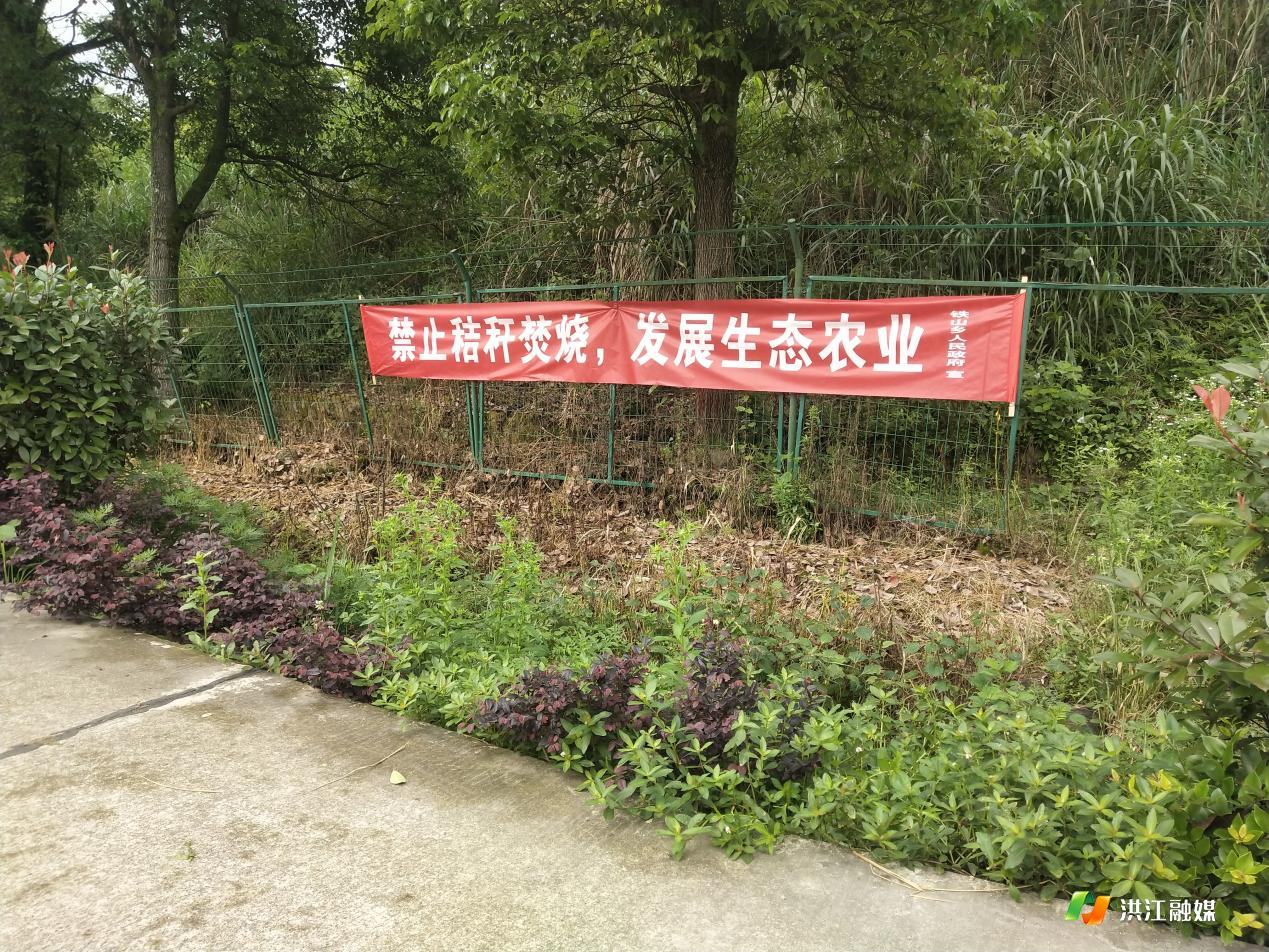 下载.jpg