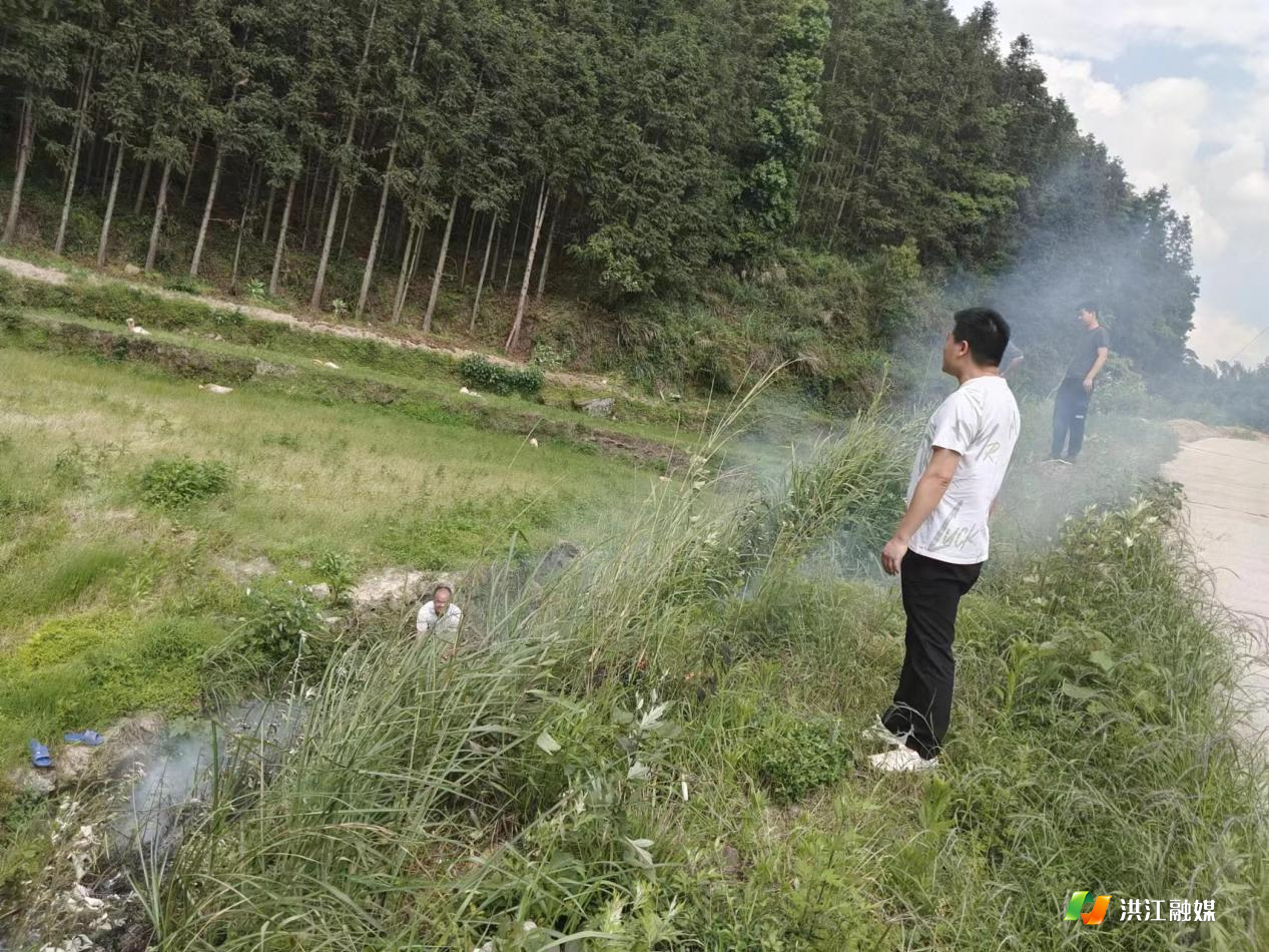 下载 (1).jpg