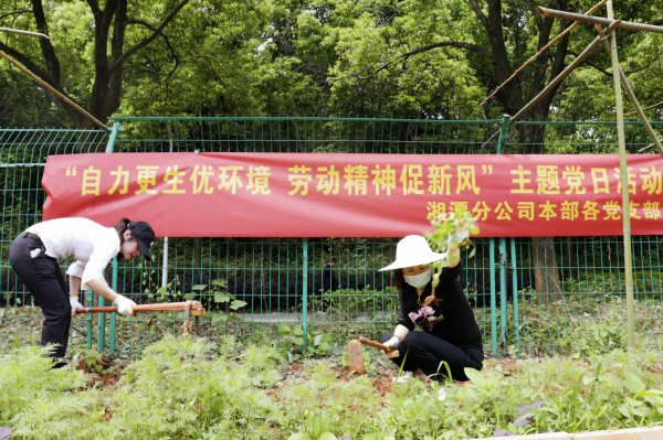 徐青和童舟.png