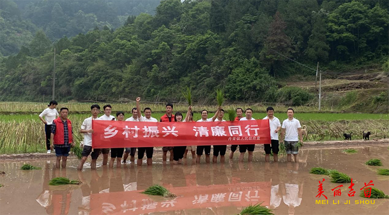 清廉助农 你我同行1.png