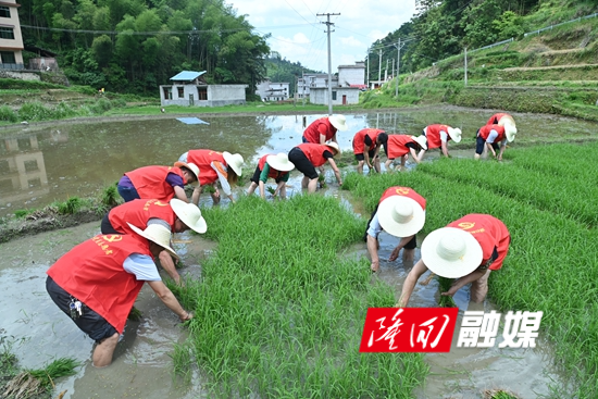 DSC_3171 - 副本.JPG