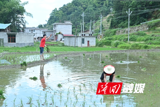 DSC_3308 - 副本.JPG