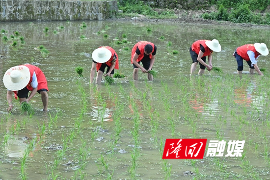 DSC_3273 - 副本.JPG