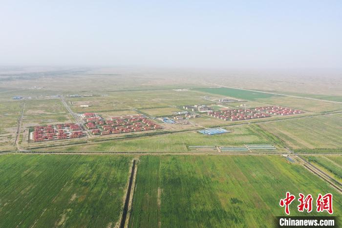 航拍新疆兵团第三师图木舒克市54团兴安镇油莎豆种植基地。(资料图) 李宇航 摄
