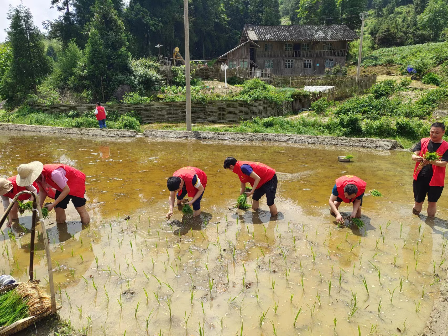 微信图片_20230531162330.jpg