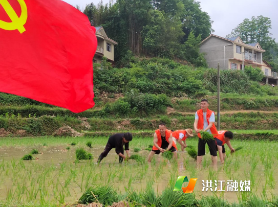 微信截图_20230602162358.png
