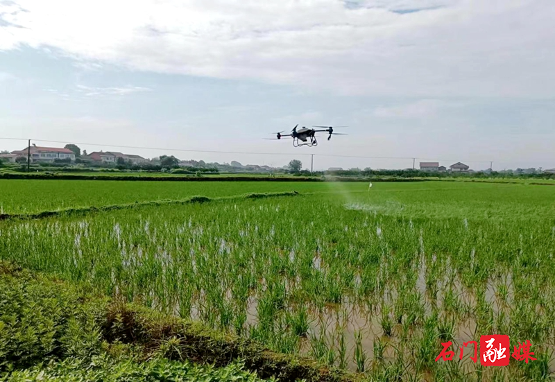 夹山镇：现代科技赋能“新农人”，无人机助“飞”乡村振兴2.jpg
