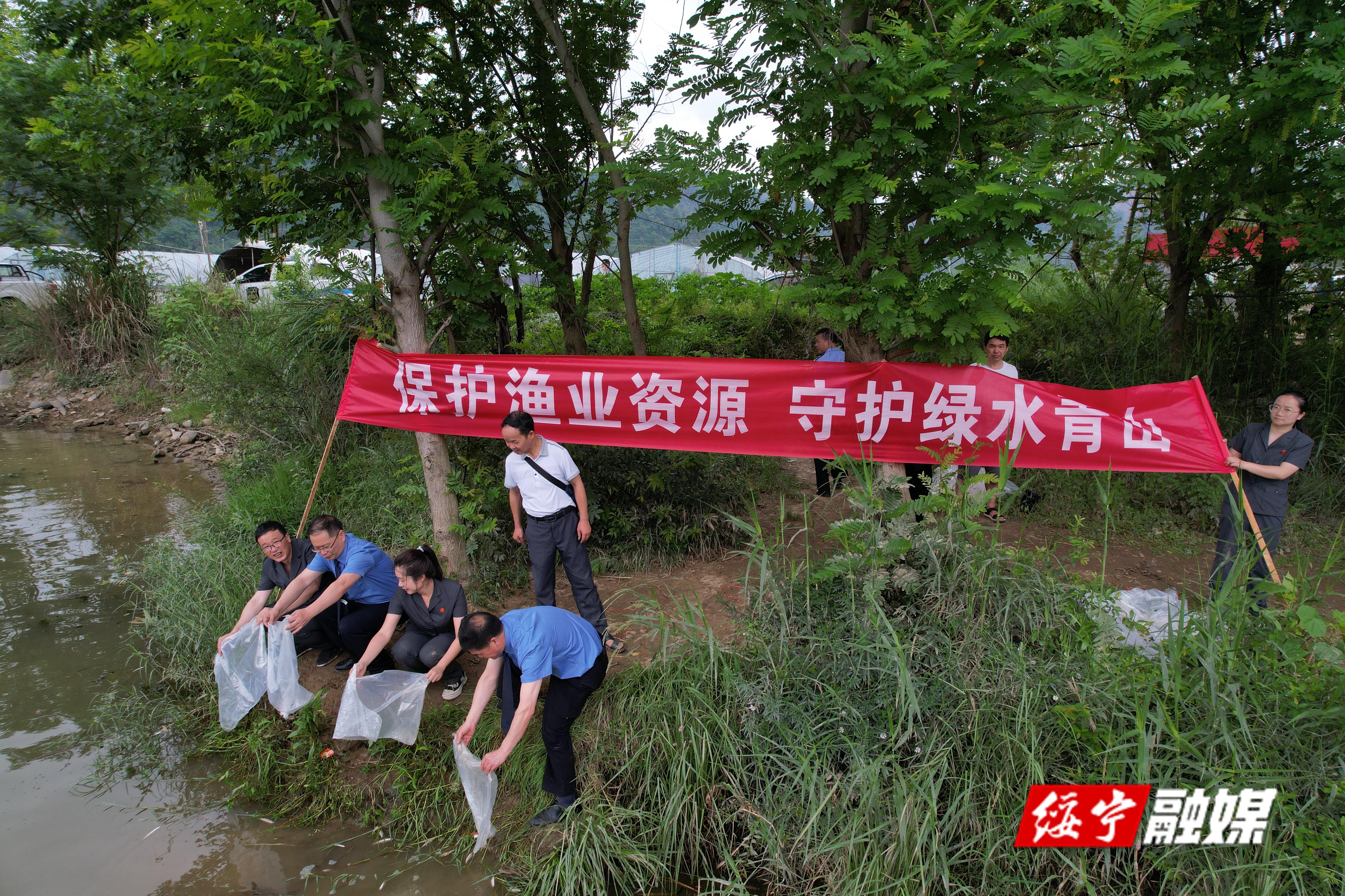 绥宁：非法捕捞人员“买单”  投放鱼苗37000余尾(图1)