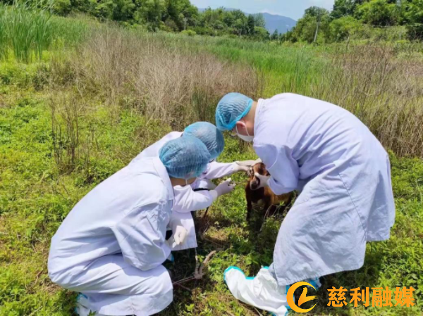 b5549bd3d48e36c69cba10e6e300e12.png b5549bd3d48e36c69cba10e6e300e12.png