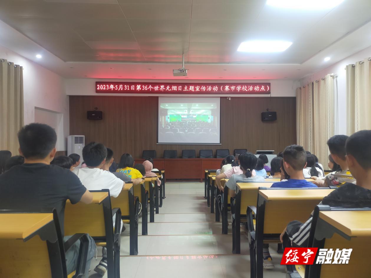 绥宁县积极开展“5.31世界无烟日”主题宣传活动(图2)