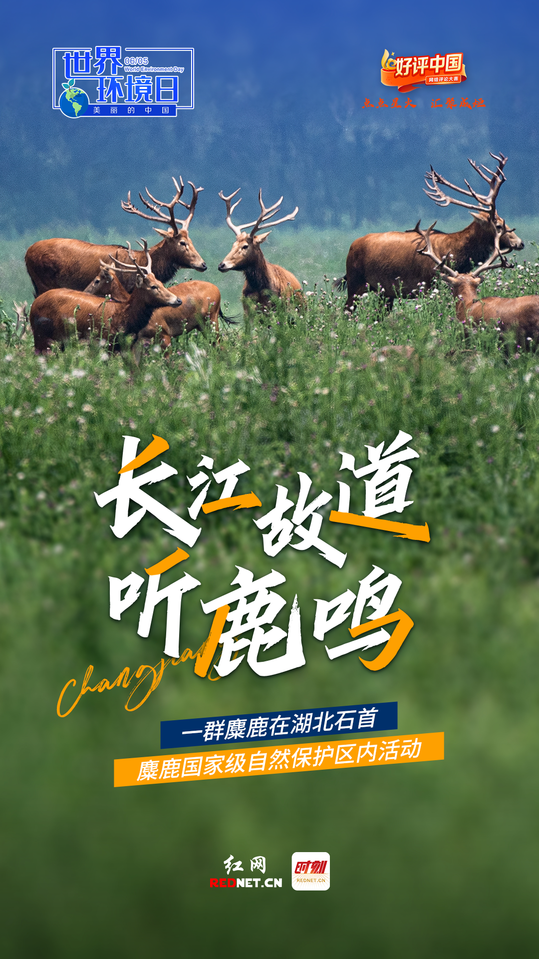 好評中國·海報丨世界環境日，一個美麗中國的底氣