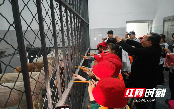 图片8.jpg