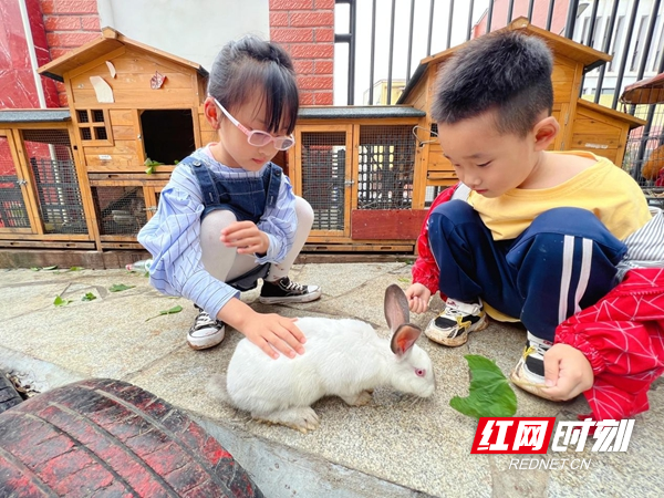 图片12.jpg