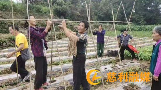 小南瓜_副本.png
