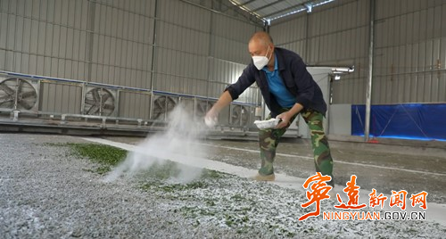 宁远：桑蚕种养助增收 织出群众致富路4_副本500.jpg