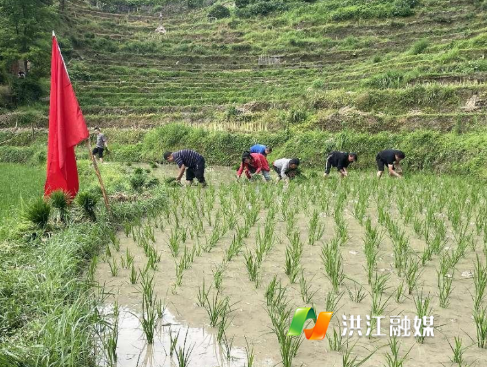 微信截图_20230607145721.png