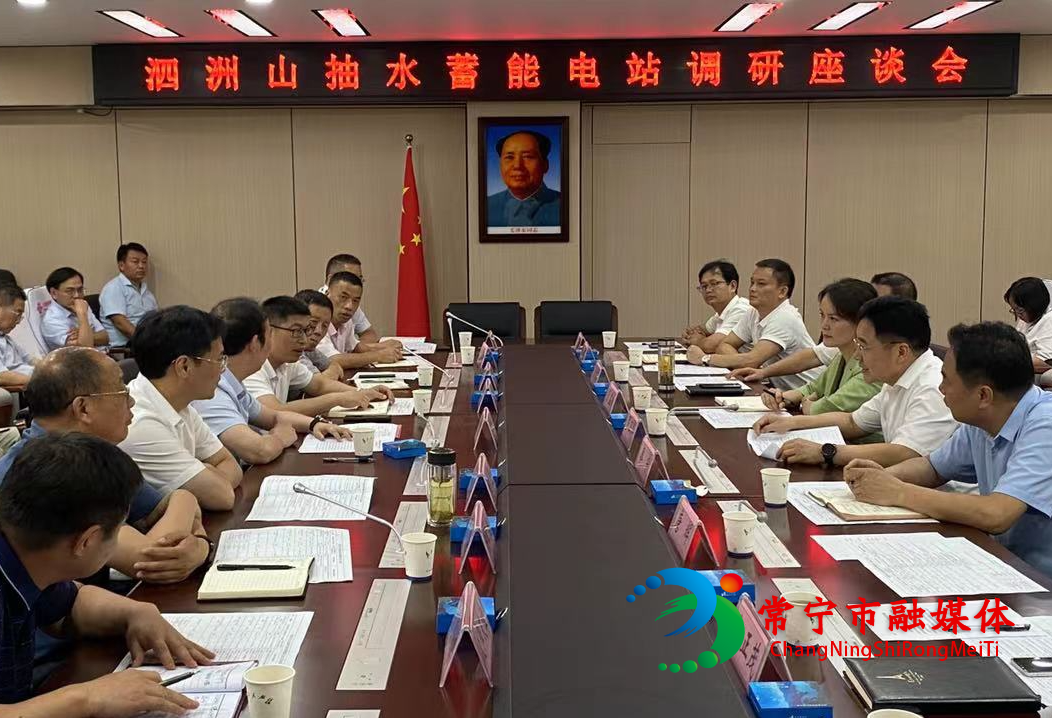 抽水蓄能项目调研会1.jpg
