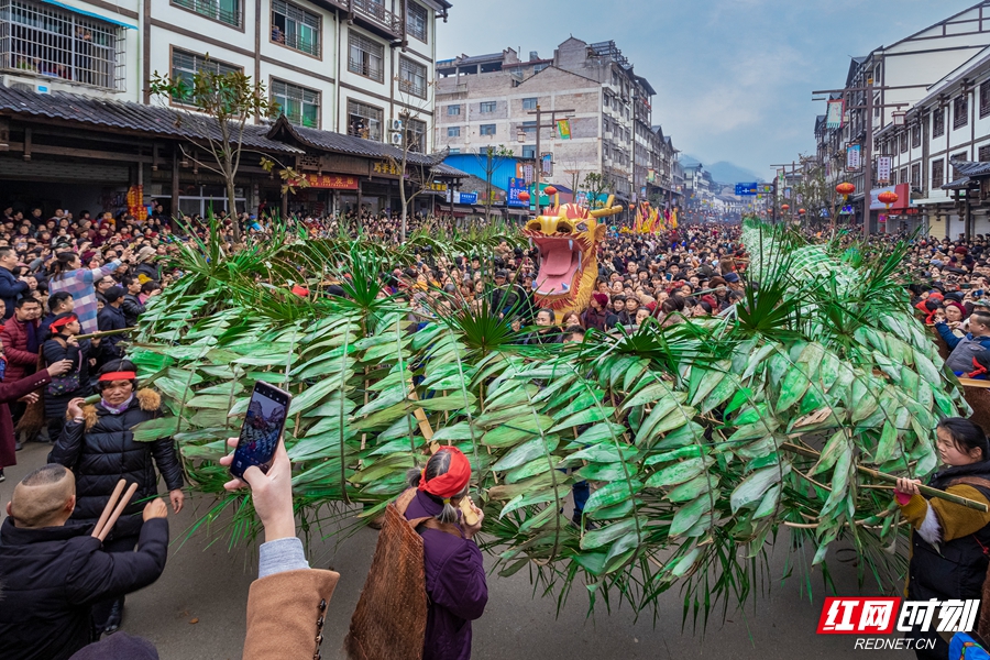 18.彭运华+《张家界二月二农耕民俗文化节》  （2019年3月8日张家界永定区教字垭镇举办‘’记住乡愁，开耕家园‘’的二月二农耕民俗文化节。用竹子和粽叶制作的一条200余米长的巨大长龙，由160人抬着游行于街上，把节日气氛推上了高潮。）_副本.jpg