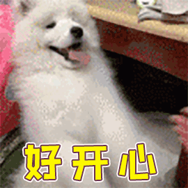 图片28.png
