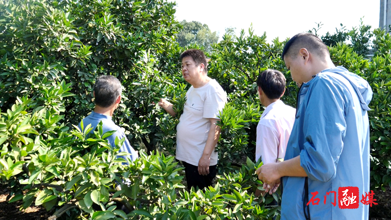 三圣乡：作风建设助推经济社会发展提质增效7.png