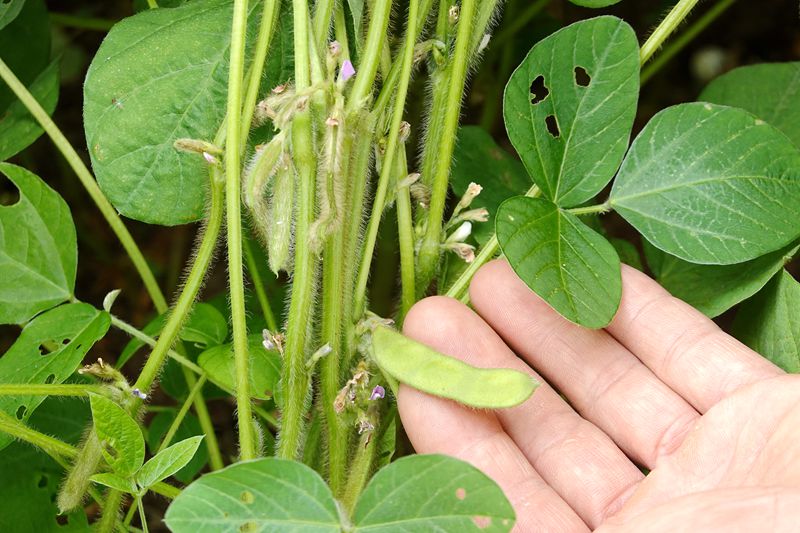 DSC00133_副本.jpg DSC00133_副本.jpg