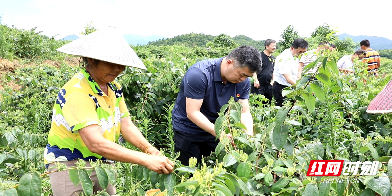 宜投集团开展党日活动1_副本.jpg