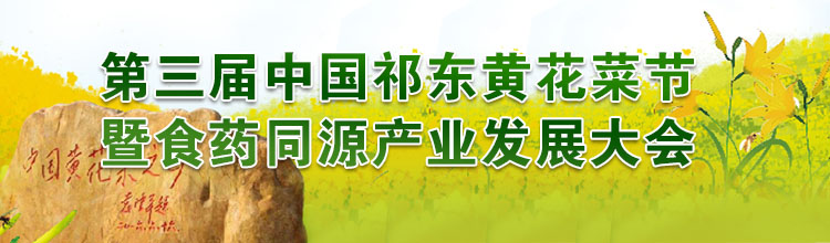 第三届中国祁东黄花菜节暨食药同源产业发展大会