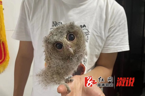 微信图片_20230613163259.jpg