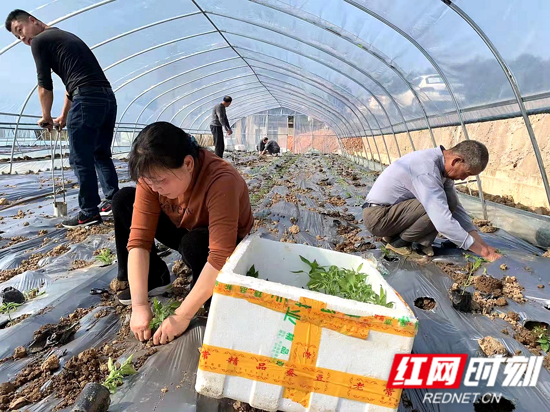 1_副本.jpg 1_副本.jpg