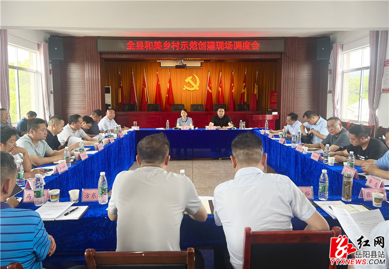 我县召开和美乡村示范创建现场调度会 (3)_副本.jpg