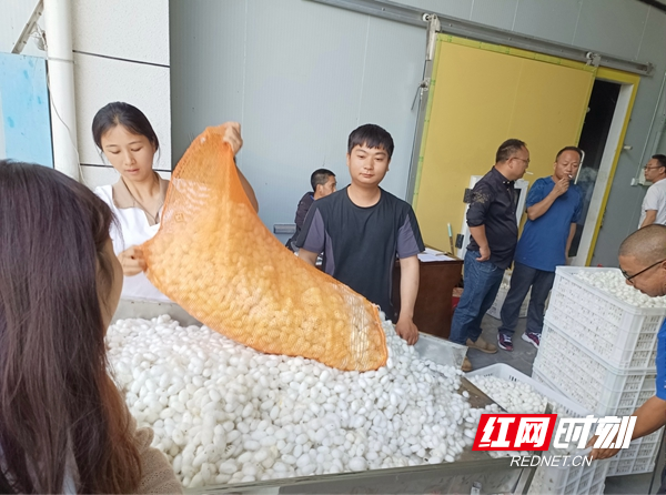 图片13.jpg