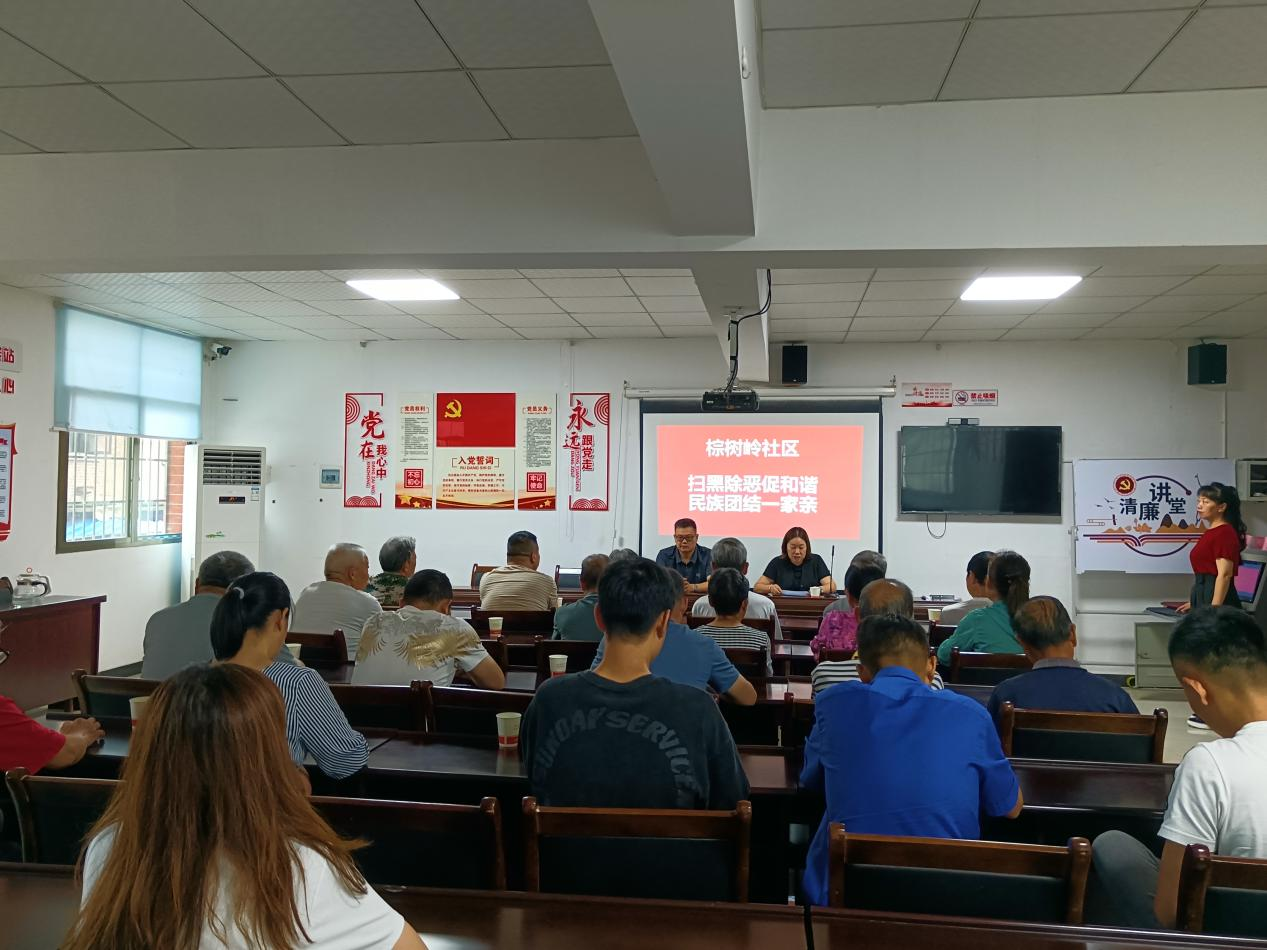 棕树岭社区开展“扫黑除恶筑和谐，民族团结一家亲”法治宣传活动(图1)
