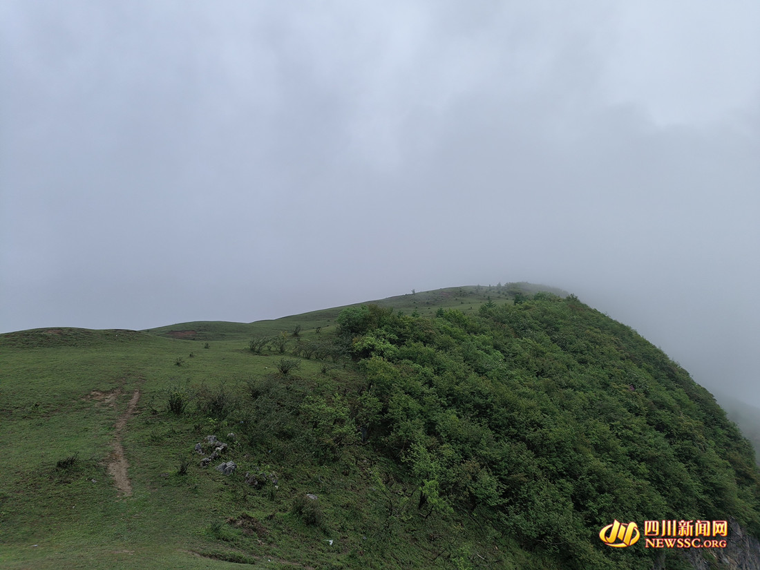 泥巴山之巅，草原与森林区域泾渭分明（卢永洪 摄）_副本.jpg