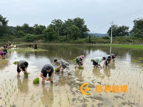 微信图片_20230614174343.jpg