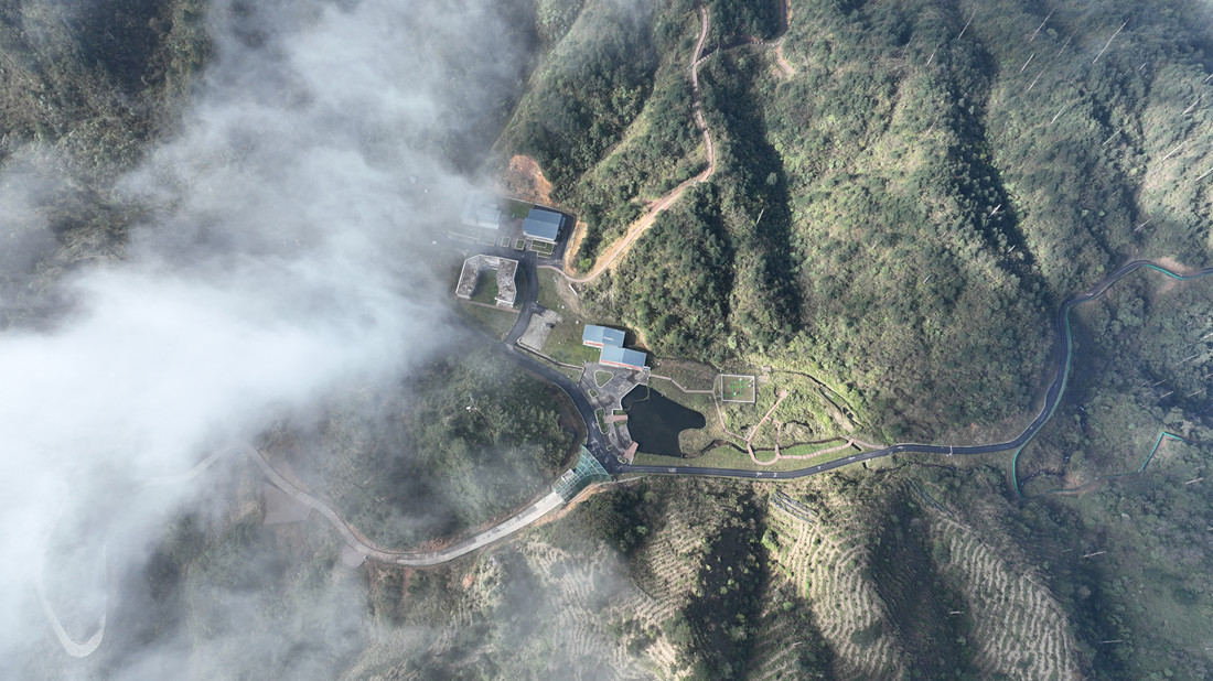 雨雾中的四川大相岭大熊猫野化放归研究基地（受访者提供）_副本.jpg