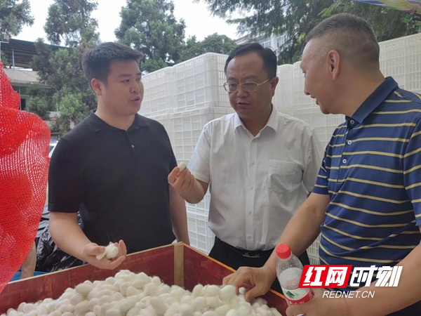 图片16.jpg