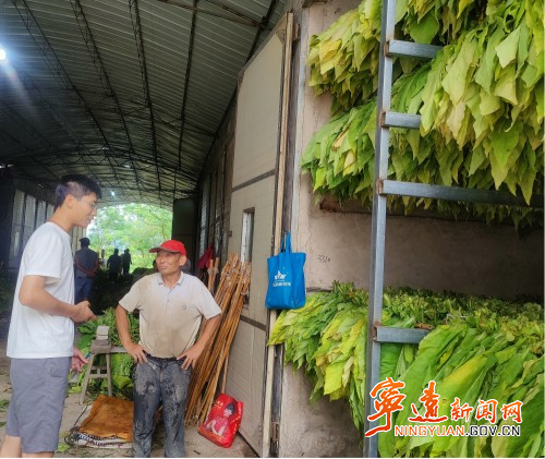 宁远：抢抓时令  烤烟搭起“致富桥”_副本_副本500.jpg