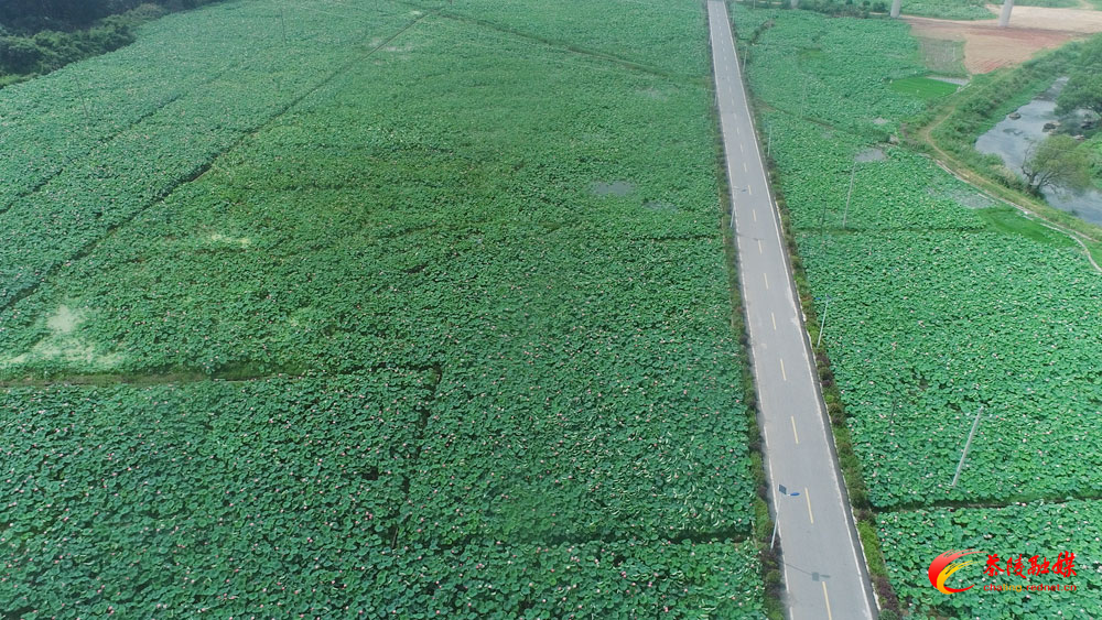 Still1201_00005.jpg Still1201_00005.jpg