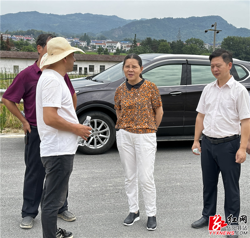 彭荣欣调研 (1)_副本.jpg