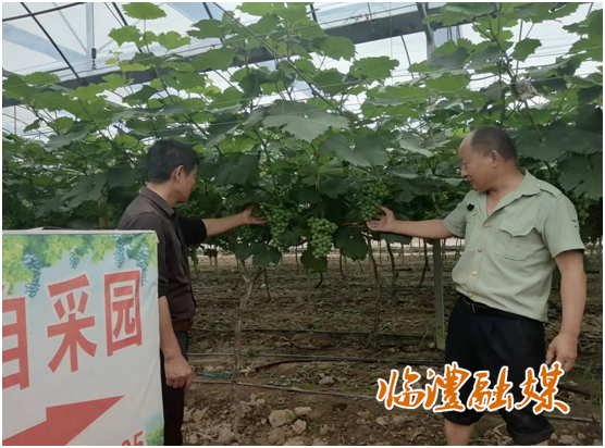 微信图片_20230619095010.png 微信图片_20230619095010.png