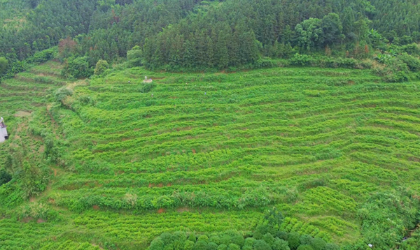微信截图_20230619100224_副本.png