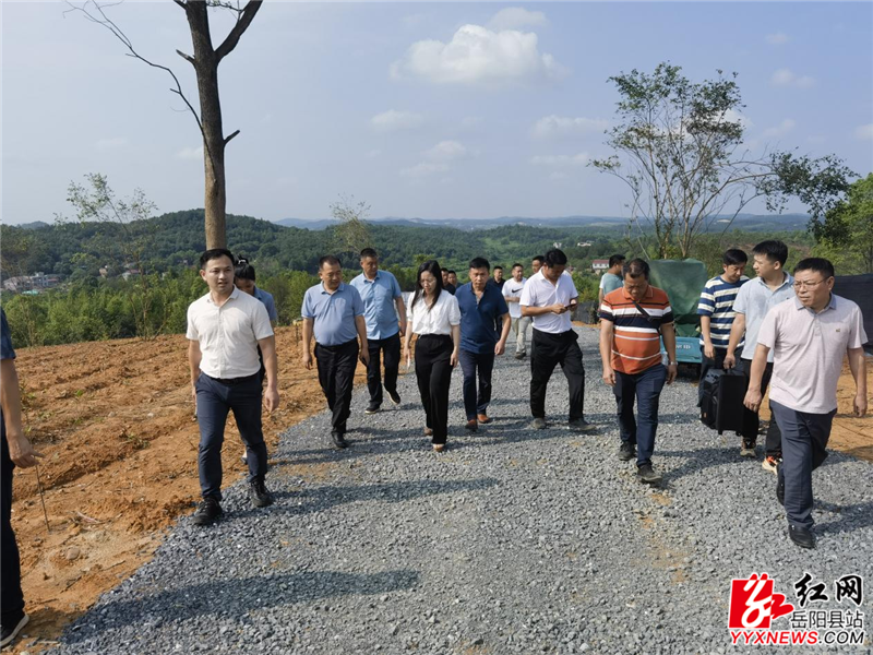 图片2 (17)_副本.png