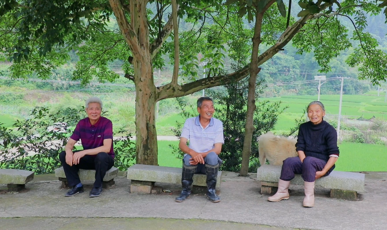 微信截图_20230619102204.png