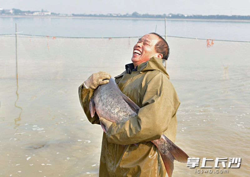 千龙湖的捕鱼节上，渔民沉浸在丰收的喜悦中。全媒体记者 陈飞摄